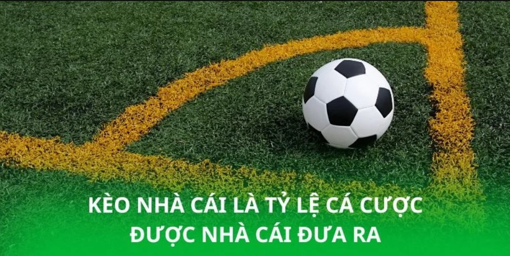 Tham gia chơi cược số quả phạt góc