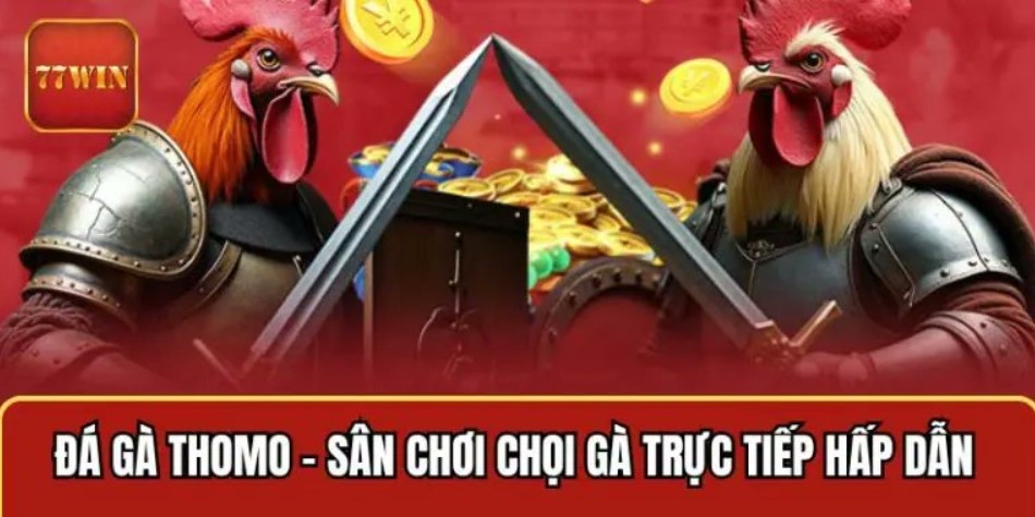 Nạp & Cược Đá Gà Thomo - Thao Tác Chuẩn Xác Nhận Thưởng Tổng hợp những lựa chọn đầu tư sinh lời cao